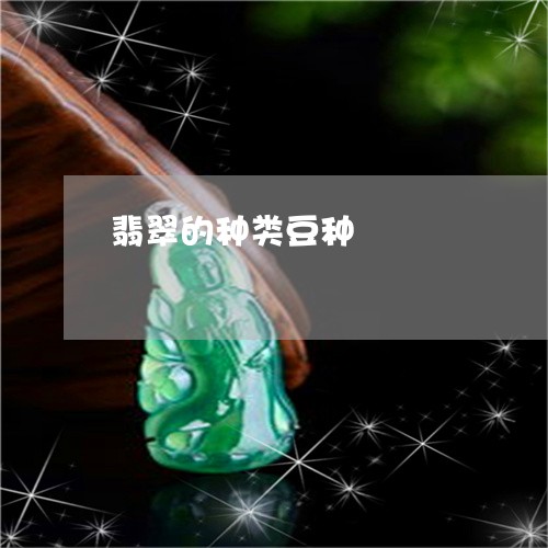 翡翠的种类豆种/2023032510515 翡翠的种类豆种/2023032510515