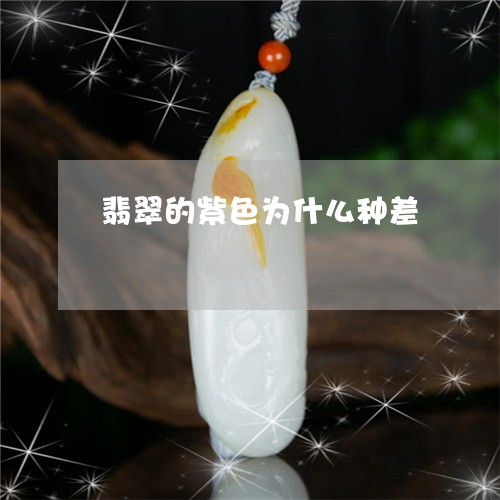 翡翠的紫色为什么种差