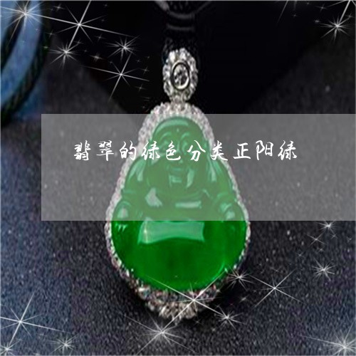 翡翠的绿色分类正阳绿/2023060840370