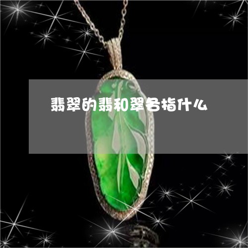 翡翠的翡和翠各指什么 翡翠的翡和翠各指什么