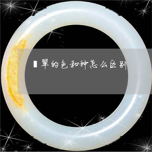 翡翠的色和种怎么区别