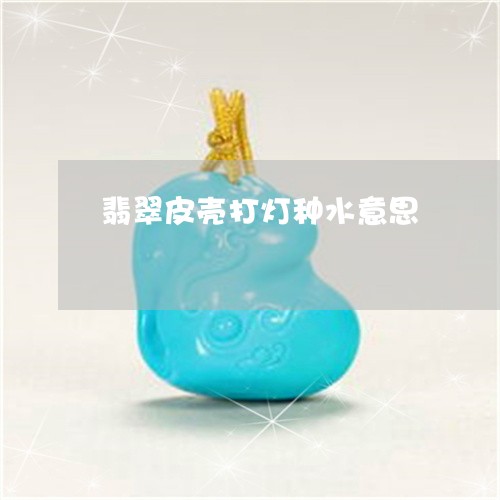 翡翠皮壳打灯种水意思 翡翠皮壳打灯种水意思