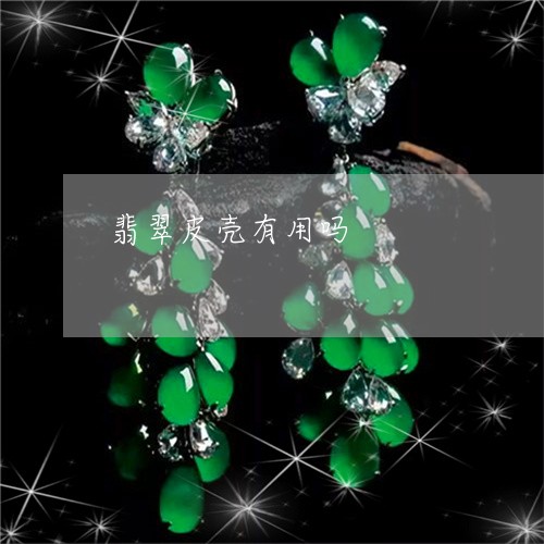 翡翠皮壳有用吗/2023032569471