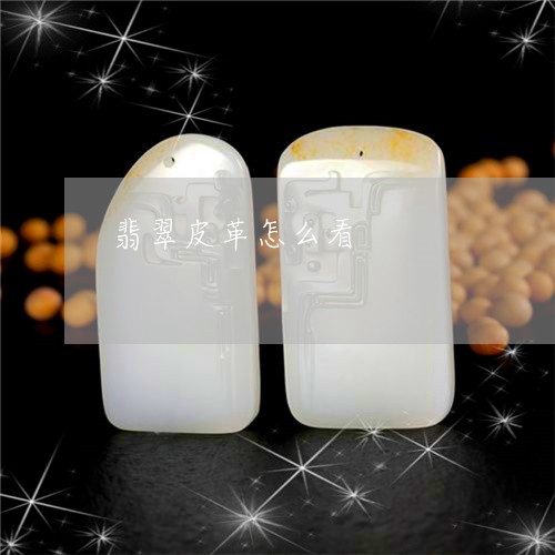 翡翠皮革怎么看/2023032518148