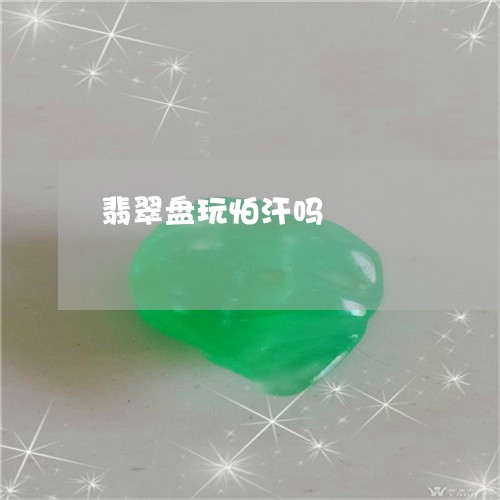 翡翠盘玩怕汗吗/2023032528350 翡翠盘玩怕汗吗/2023032528350