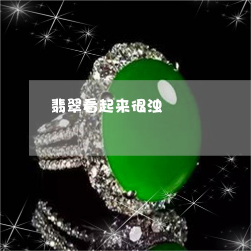 翡翠看起来很浊/2023032541804 翡翠看起来很浊/2023032541804