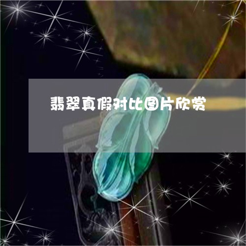 翡翠真假对比图片欣赏/2023060826958