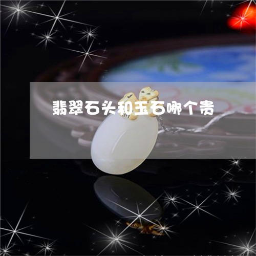 翡翠石头和玉石哪个贵/2023060804714