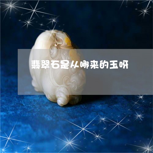翡翠石是从哪来的玉呀/2023060650360