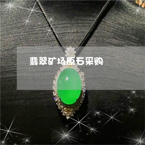 翡翠矿场原石采购/2023062177471