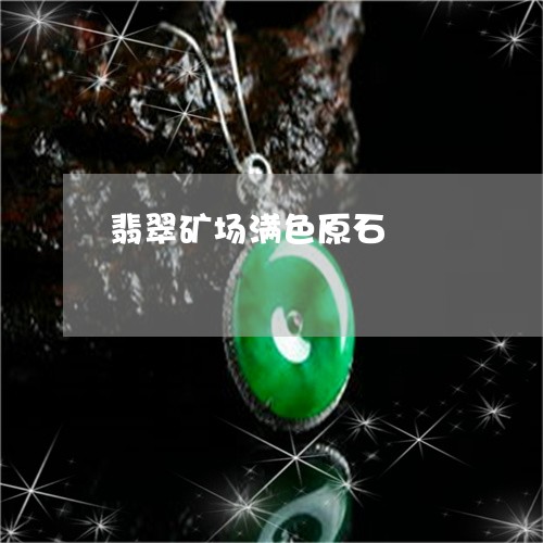 翡翠矿场满色原石/2023030272514