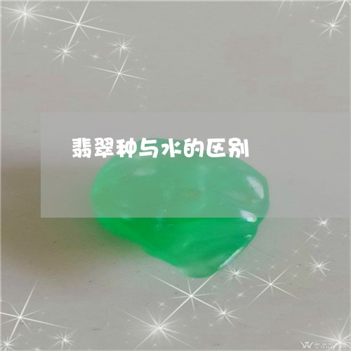 翡翠种与水的区别/2023030326268