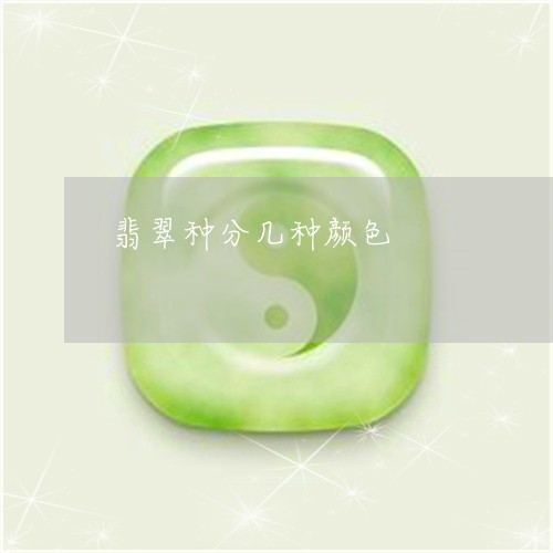 翡翠种分几种颜色/2023030319593 翡翠种分几种颜色/2023030319593