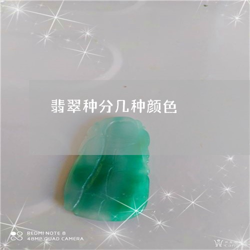 翡翠种分几种颜色/2023062101915 翡翠种分几种颜色/2023062101915