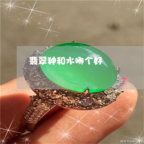 翡翠种和水哪个好/2023030338481