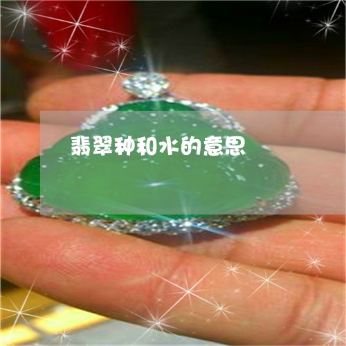 翡翠种和水的意思/2023062185159 翡翠种和水的意思/2023062185159