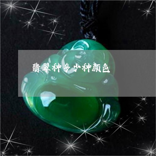 翡翠种多少种颜色/2023062186958 翡翠种多少种颜色/2023062186958