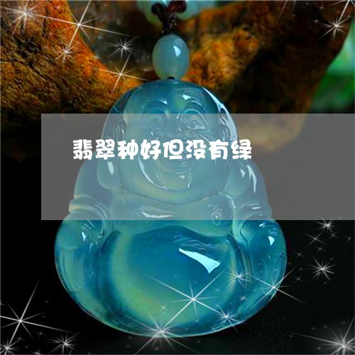 翡翠种好但没有绿/2023030344826