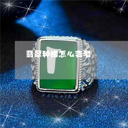 翡翠种嫩怎么变老/2023062111815