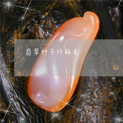 翡翠种子价格表/2023032305059