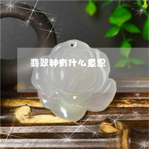翡翠种有什么意思/2023030385148