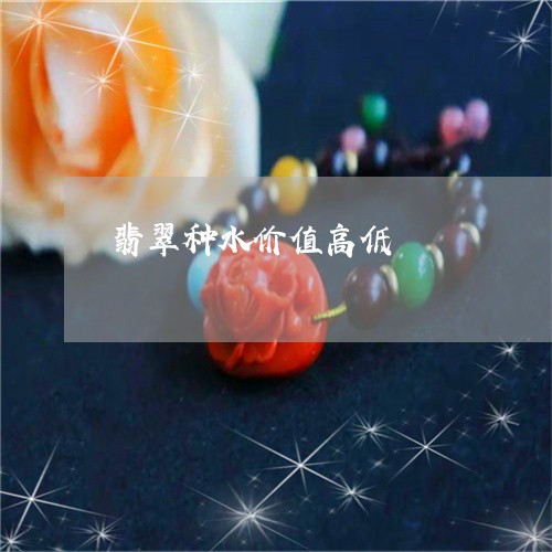 翡翠种水价值高低/2023062144029 翡翠种水价值高低/2023062144029