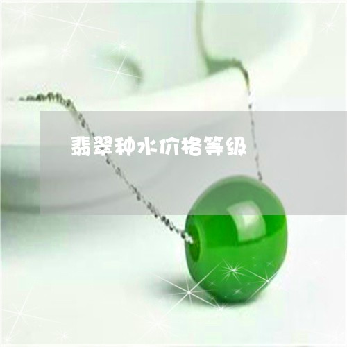 翡翠种水价格等级/2023062150704 翡翠种水价格等级/2023062150704