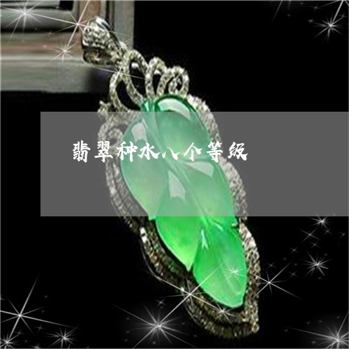 翡翠种水八个等级/2023062165848