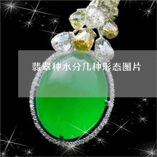 翡翠种水分几种形态图片/2023070805140 翡翠种水分几种形态图片/2023070805140