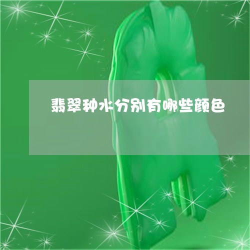 翡翠种水分别有哪些颜色/2023070856168