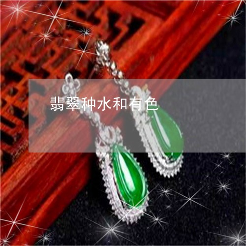 翡翠种水和有色/2023032337340 翡翠种水和有色/2023032337340