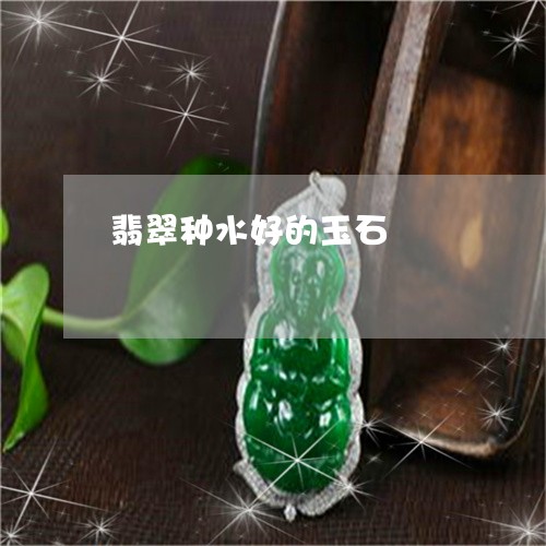 翡翠种水好的玉石/2023062187683 翡翠种水好的玉石/2023062187683
