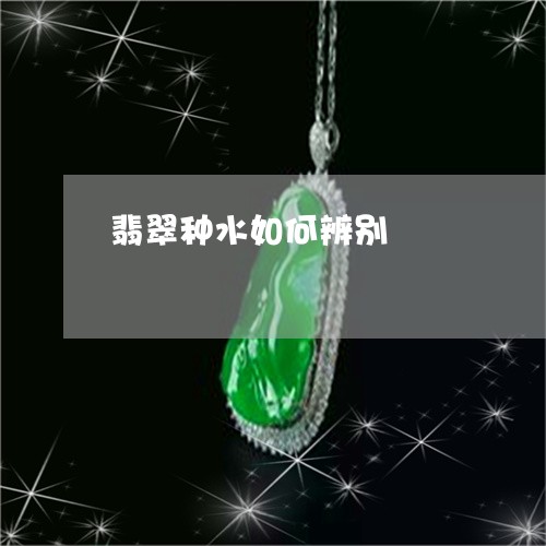 翡翠种水如何辨别/2023030359361 翡翠种水如何辨别/2023030359361