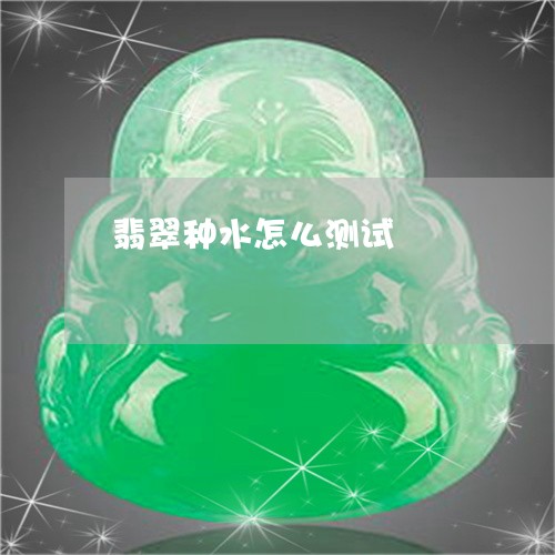 翡翠种水怎么测试/2023062142813