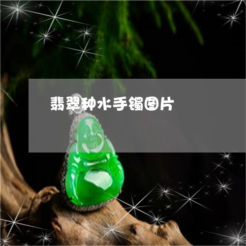 翡翠种水手镯图片/2023062107272