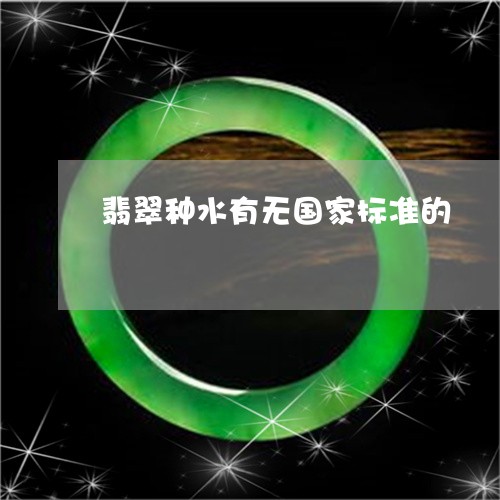 翡翠种水有无国家标准的/2023070858271