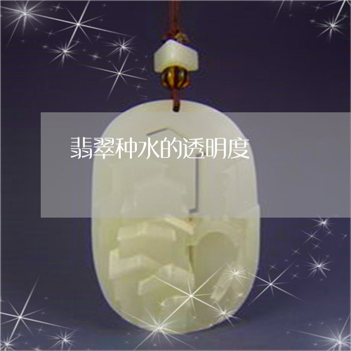翡翠种水的透明度/2023062142825 翡翠种水的透明度/2023062142825