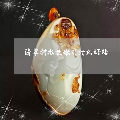 翡翠种水老嫩有什么好处/2023070930585