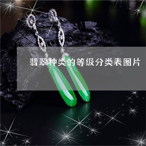 翡翠种类的等级分类表图片/2023062894957