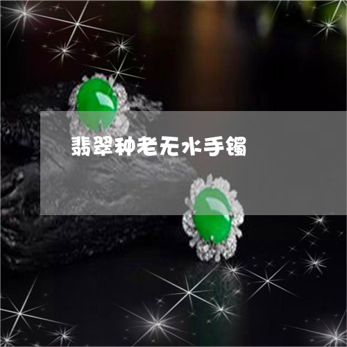 翡翠种老无水手镯/2023062154936