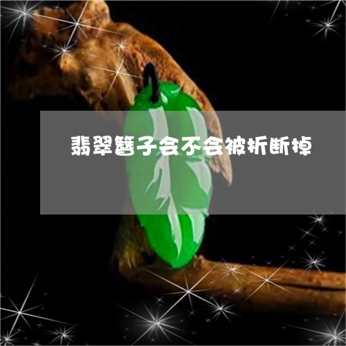 翡翠簪子会不会被折断掉/2023061910479