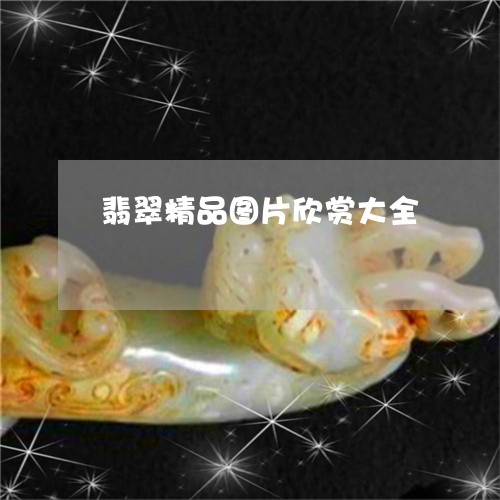 翡翠精品图片欣赏大全/2023060648271