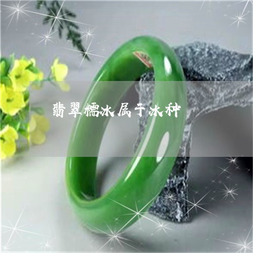 翡翠糯冰属于冰种/2023030360515 翡翠糯冰属于冰种/2023030360515