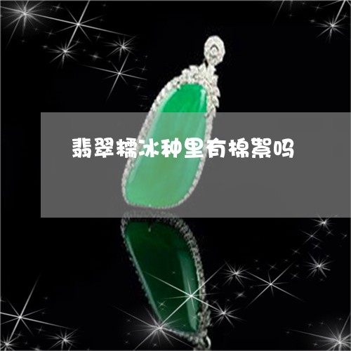 翡翠糯冰种里有棉絮吗/2023060694827