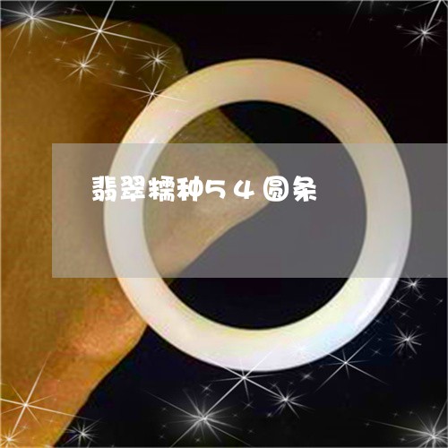 翡翠糯种54圆条/2023030320591