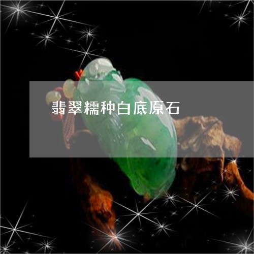 翡翠糯种白底原石/2023030356360 翡翠糯种白底原石/2023030356360