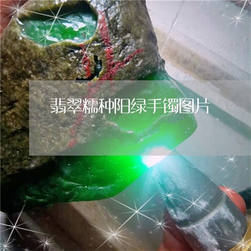 翡翠糯种阳绿手镯图片/2023060696928
