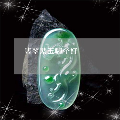 翡翠紫玉哪个好/2023032402837