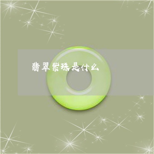 翡翠紫珠是什么/2023032448272 翡翠紫珠是什么/2023032448272