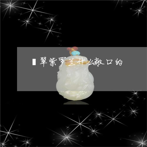 翡翠紫罗兰什么敞口的/2023060694059